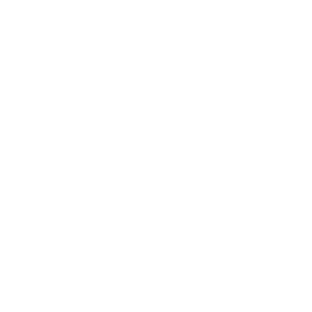 Edit Pilot